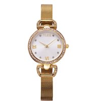 Reloj Alviero Martini Mujer Madagascar in Acero CS.4230L/06M - CS.4230L/06M